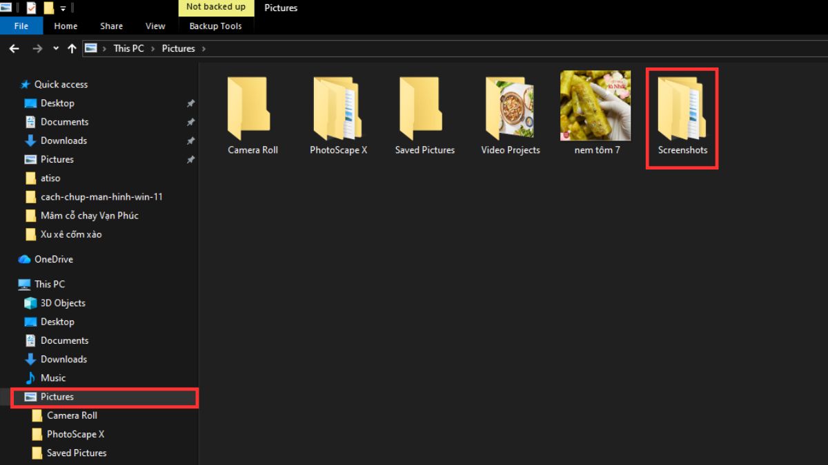 Chụp màn hình Win 11 bằng tổ hợp Windows + Print Screen