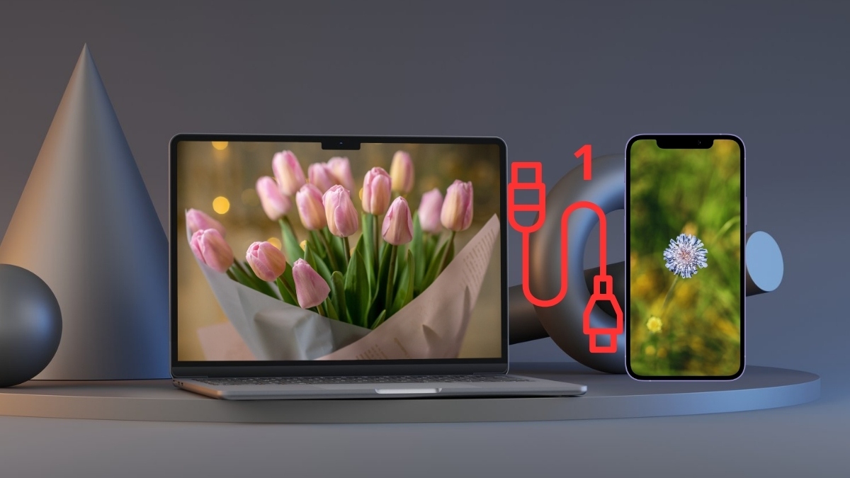 Cách chuyển dữ liệu từ iPhone sang iPad không dùng iCloud bước 1