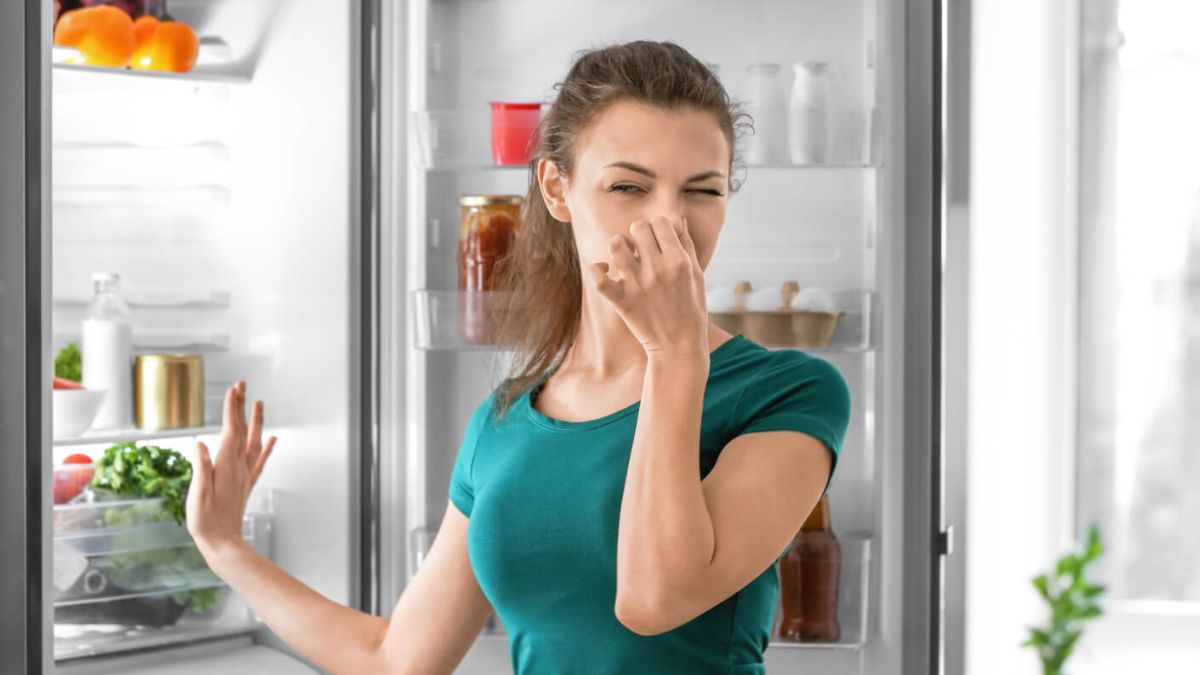 Nguyên nhân khiến tủ lạnh bị mùi hôi khó chịu