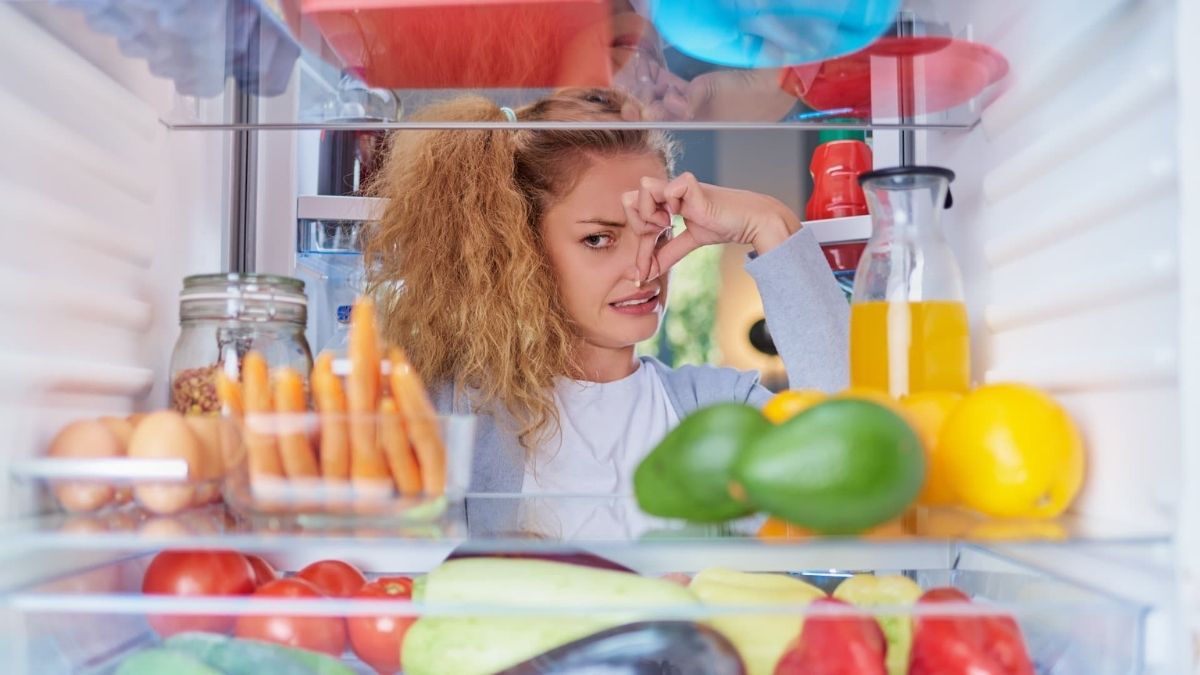 Cách phòng tránh mùi hôi tủ lạnh quay trở lại