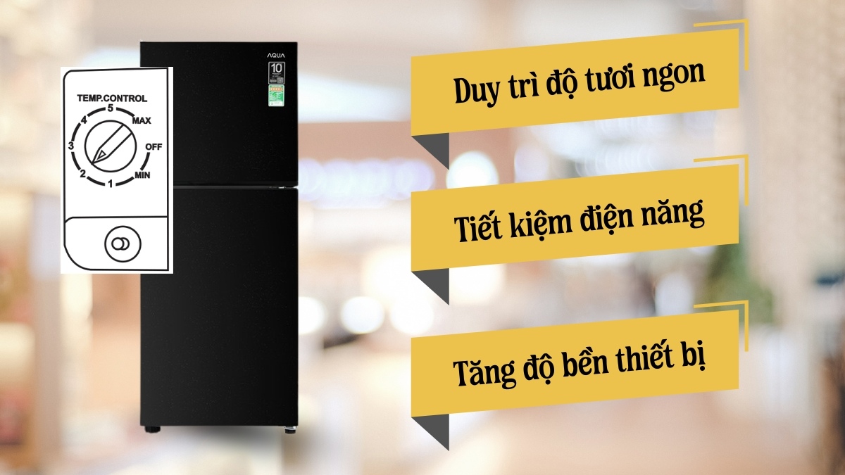 Vì sao cần chỉnh nhiệt độ tủ lạnh Aqua đúng cách?