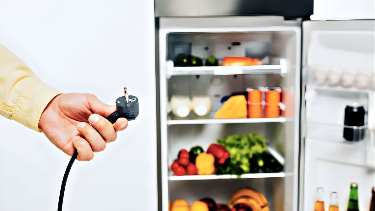 Lợi ích khi rút điện tủ lạnh khi không sử dụng