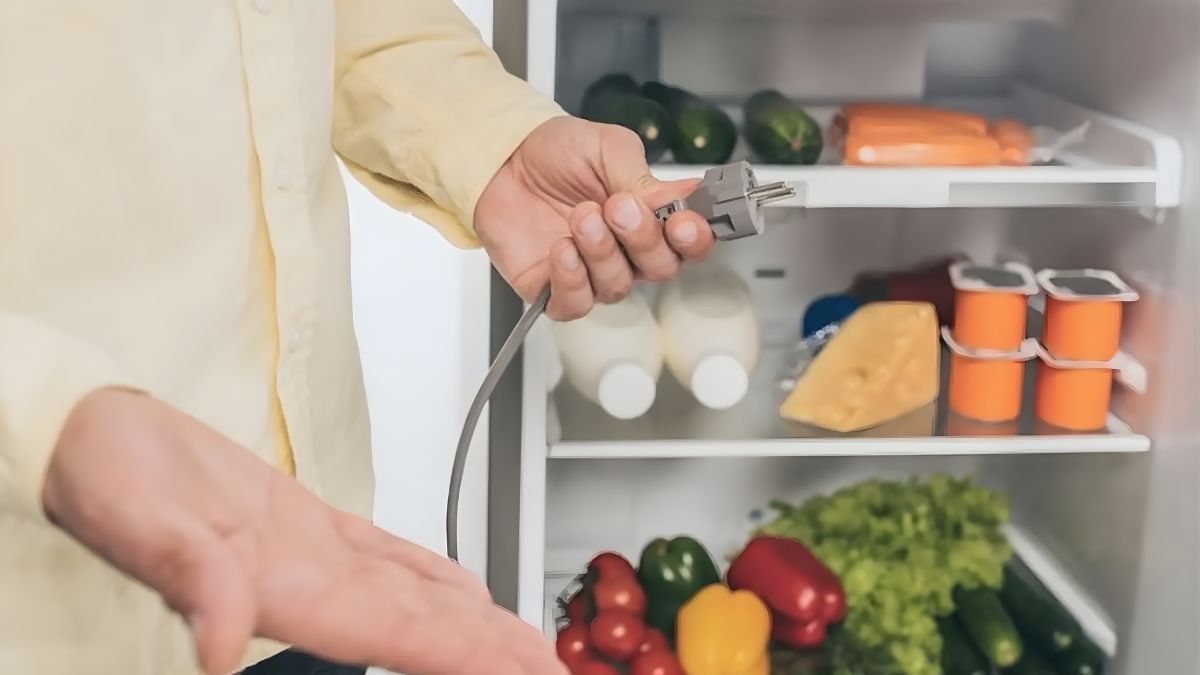 Khi nào không nên rút điện tủ lạnh khi không sử dụng
