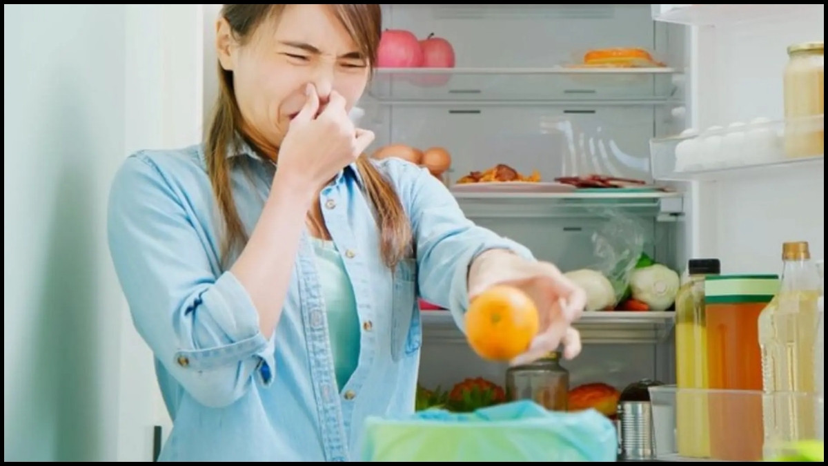 Những sai lầm thường gặp khi rút tủ lạnh về quê