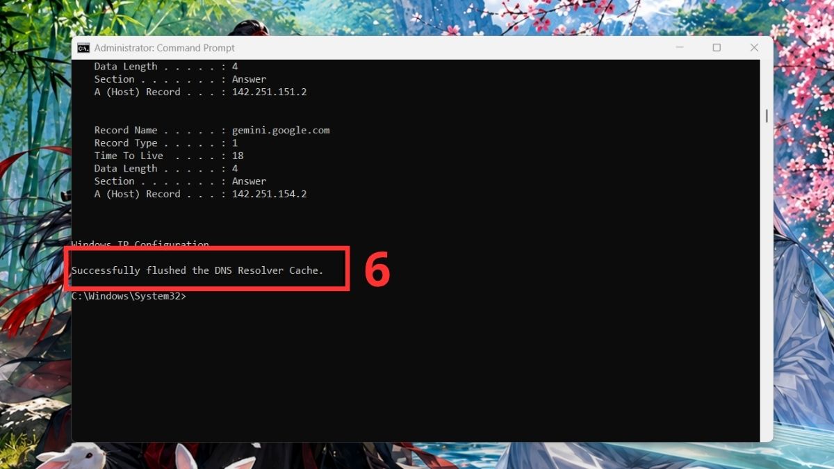 Làm gì khi Ctrl F5 vẫn không khắc phục được lỗi?