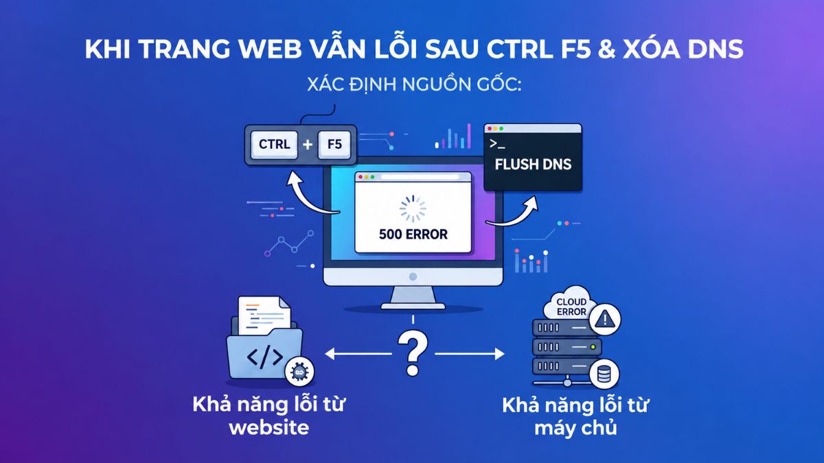 Khi nào cần kiểm tra lỗi từ website hoặc máy chủ?
