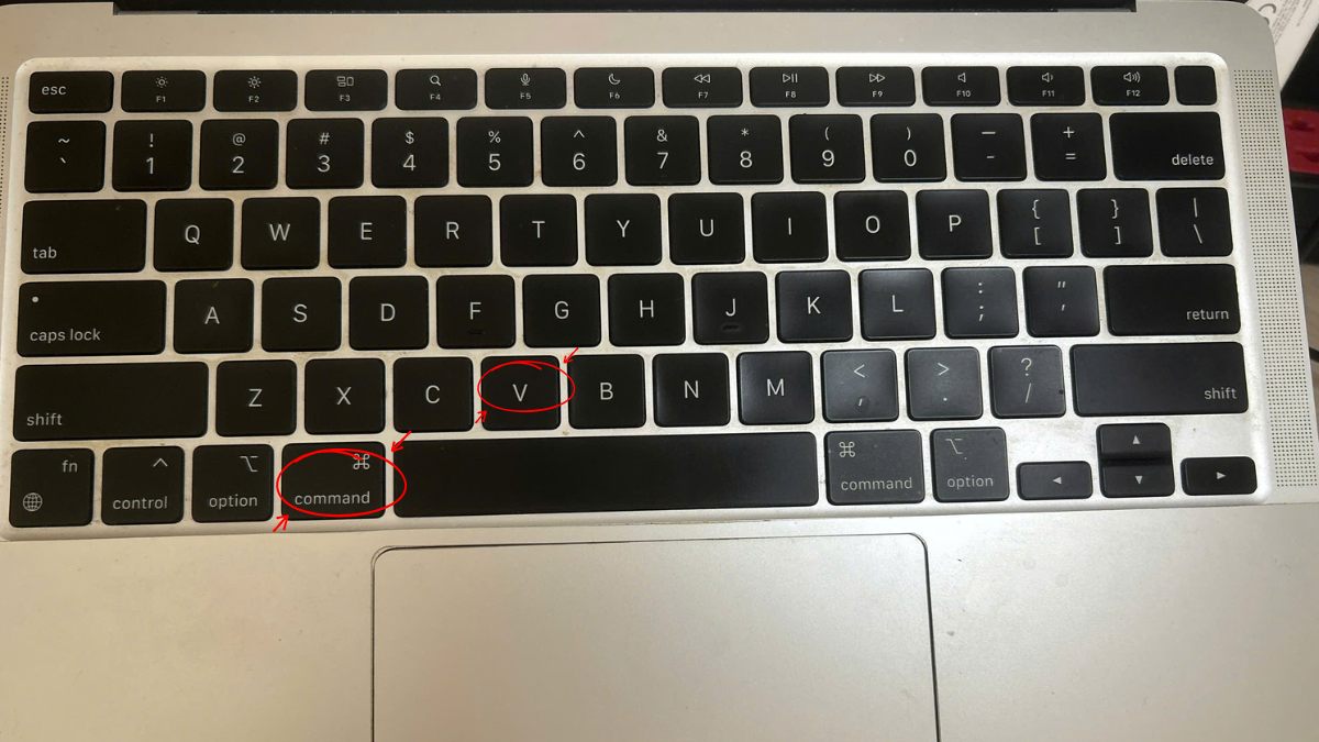 Cách dùng Command+V trên MacBook bước 4