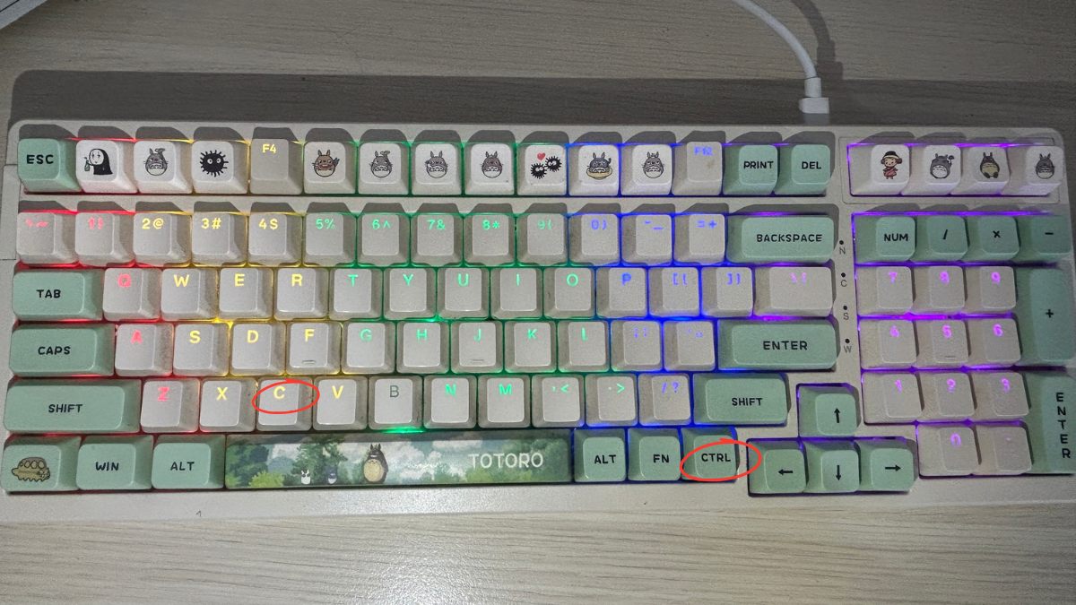 Cách khắc phục lỗi không Ctrl+V được