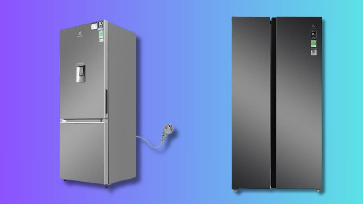 Kích thước tủ lạnh 2 cánh theo thương hiệu: Electrolux
