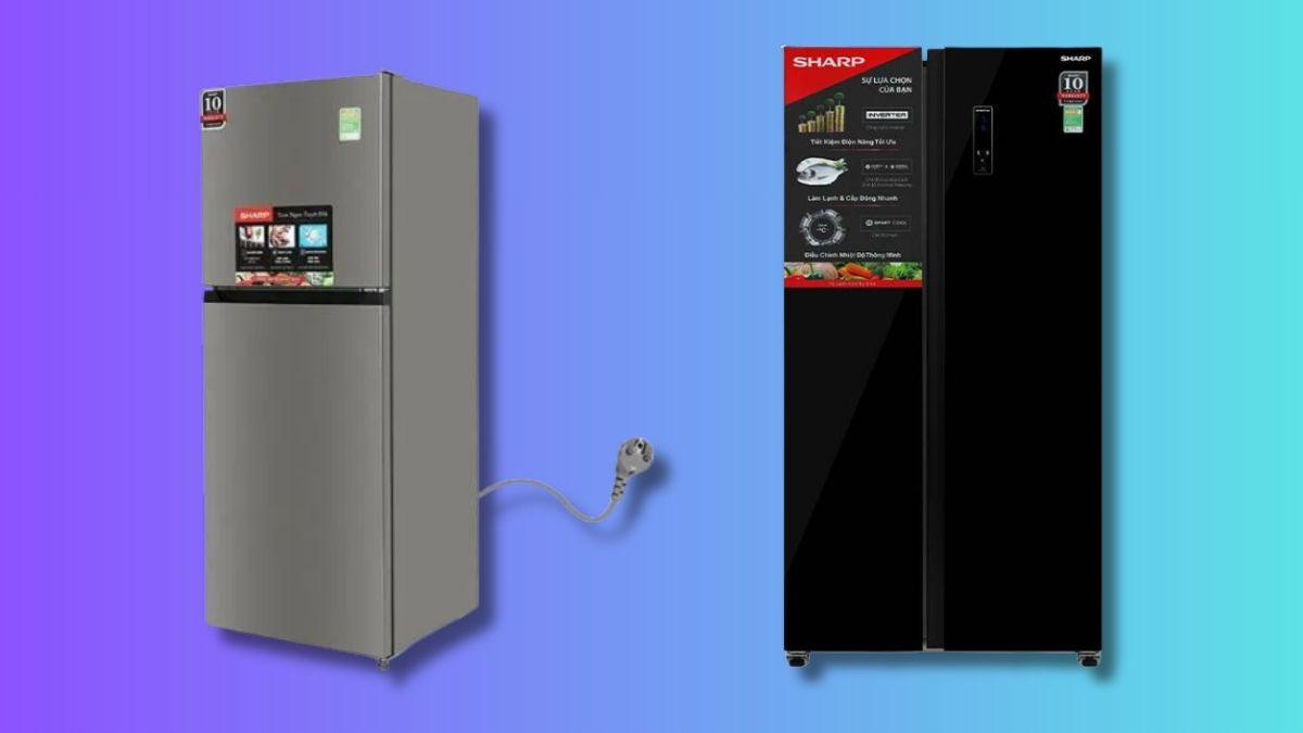 Kích thước tủ lạnh 2 cánh theo thương hiệu: Sharp