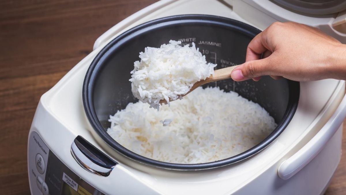 Chức năng của từng bộ phận trong nồi cơm điện