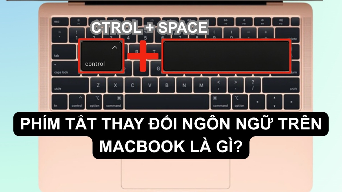 Phím tắt thay đổi ngôn ngữ trên MacBook là gì?
