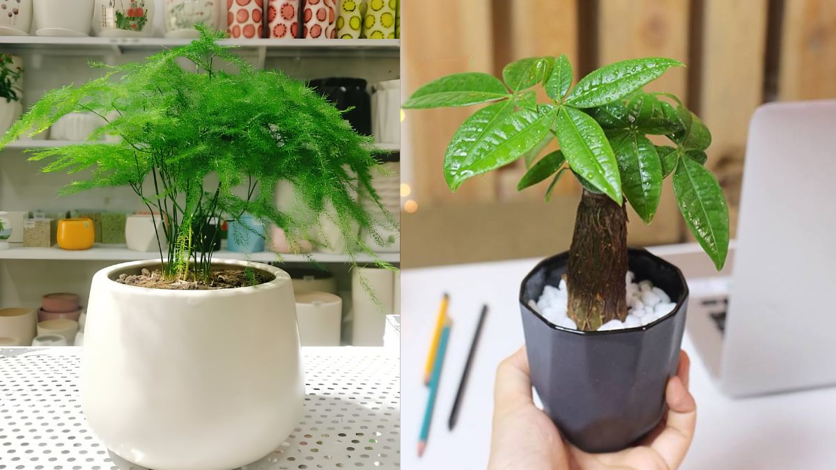 Quà tặng 20/10 cho nhân viên nữ tiện ích