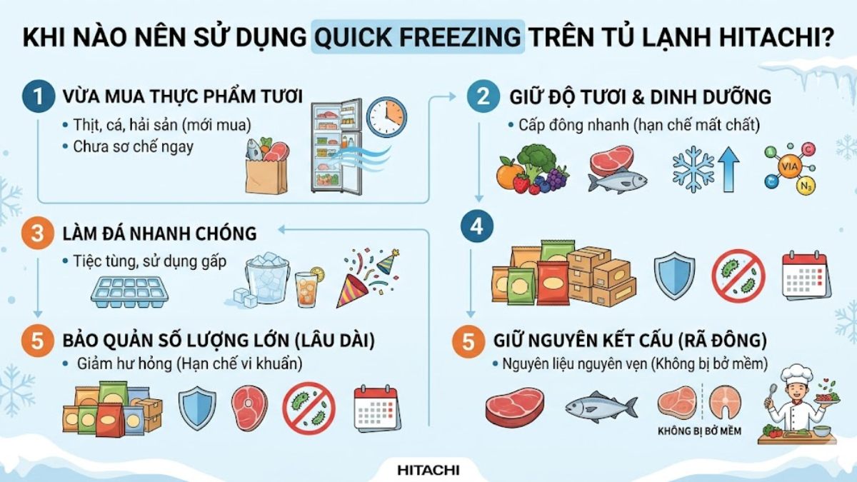 Khi nào nên sử dụng Quick Freezing trên tủ lạnh Hitachi?
