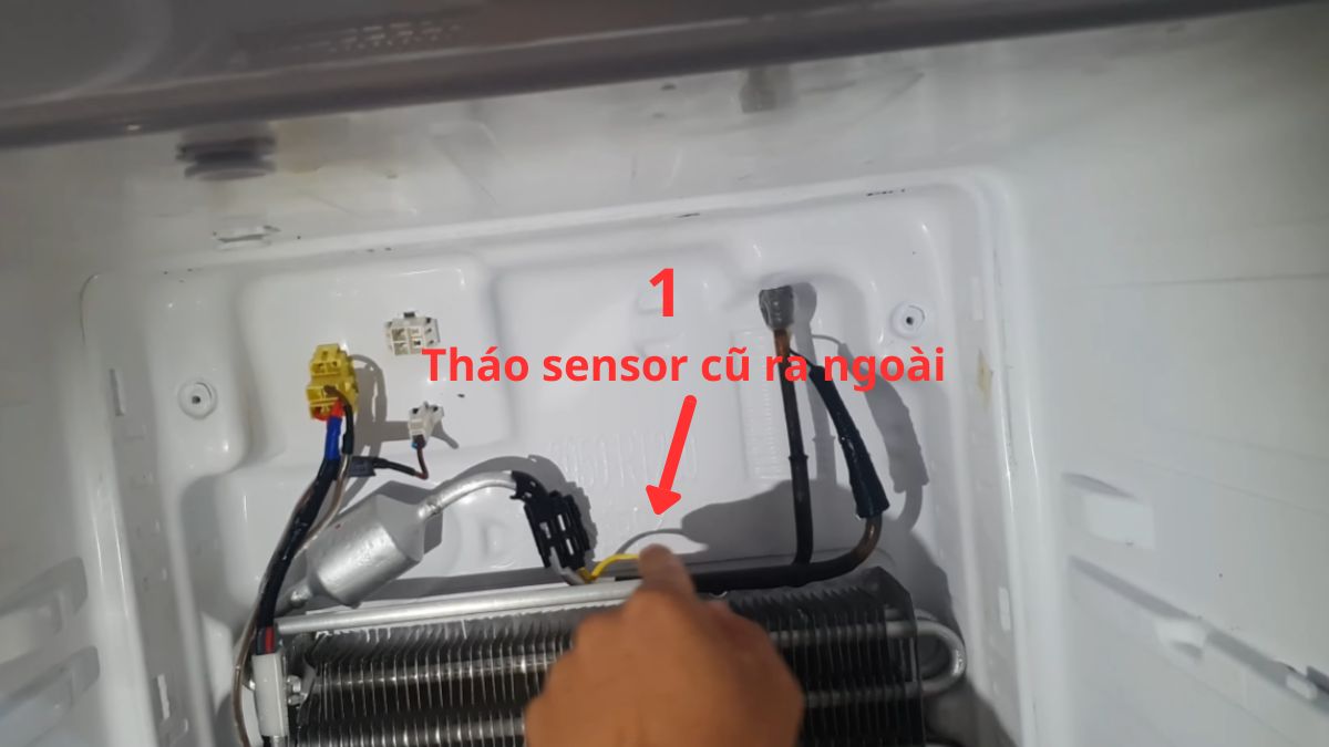 Hướng dẫn thay sensor tủ lạnh tại nhà an toàn 