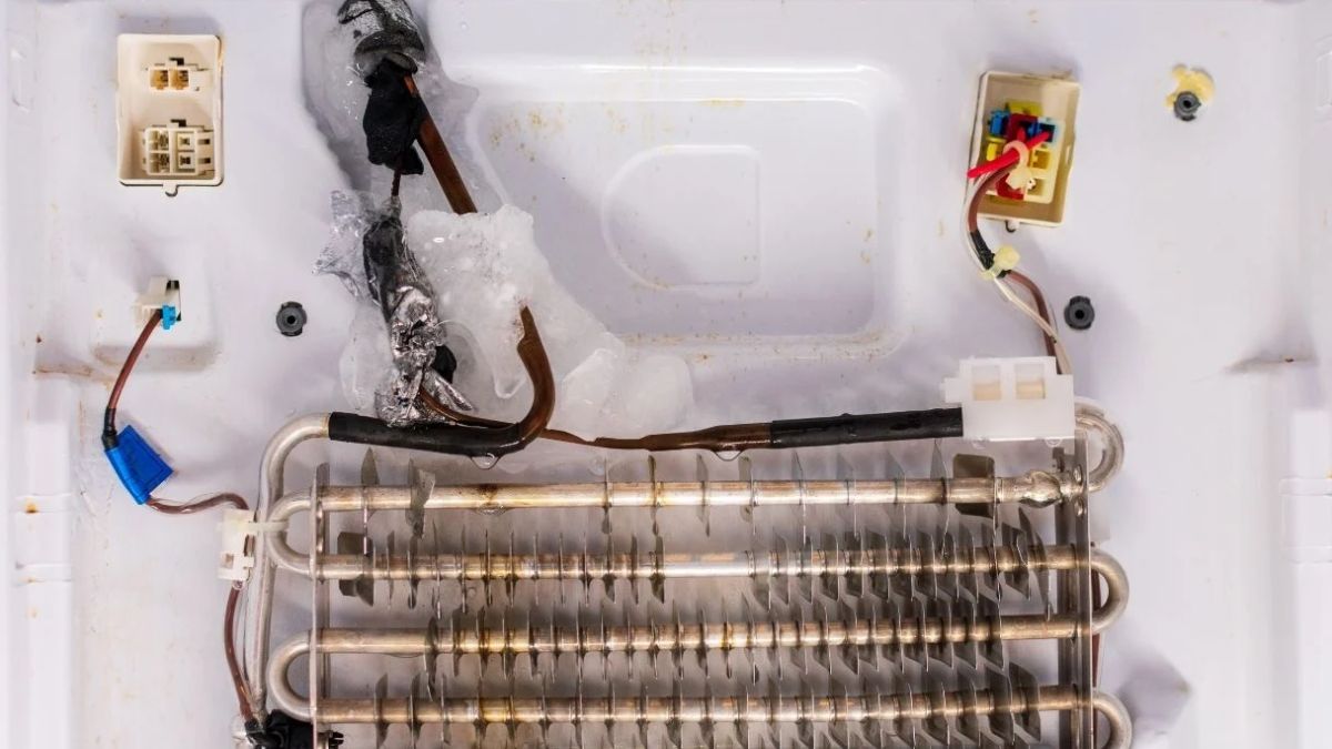  Sensor ngăn đông tủ lạnh