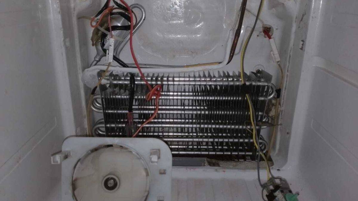 Vị trí sensor tủ lạnh nằm ở đâu trong từng ngăn?