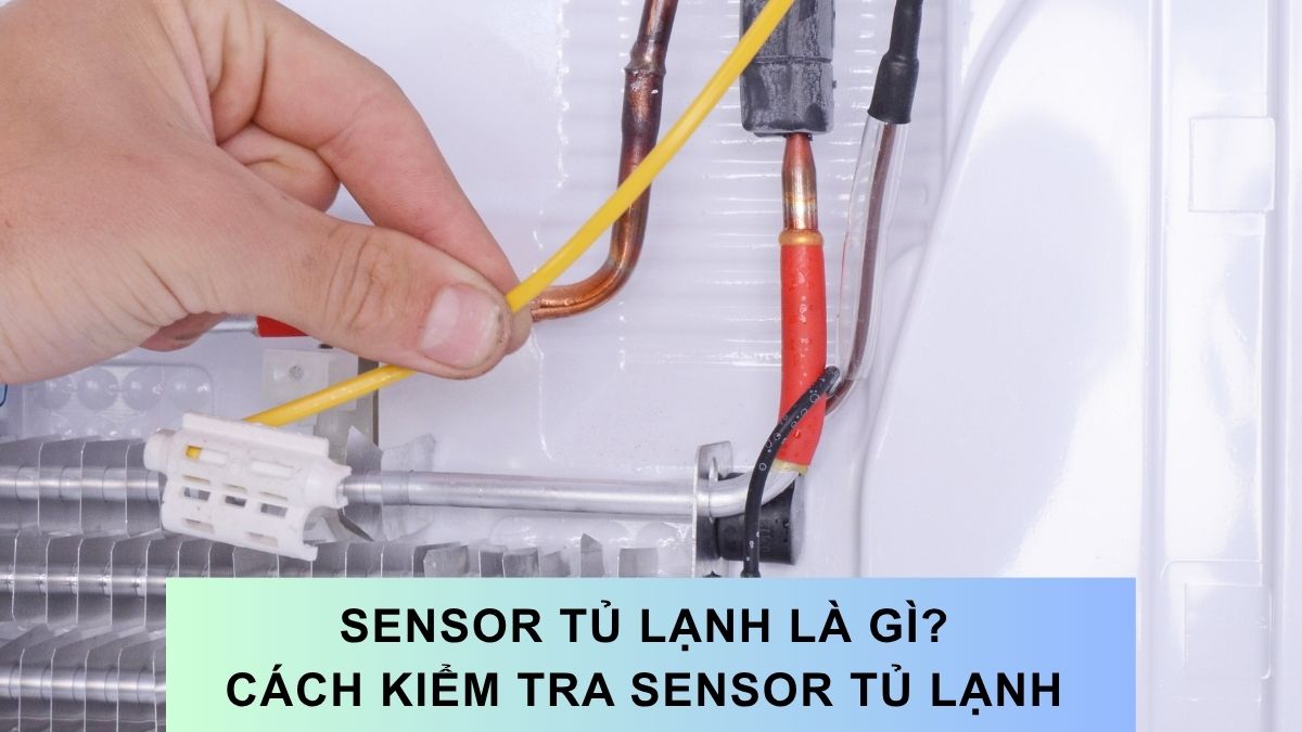Sensor tủ lạnh là gì? Cách kiểm tra sensor tủ lạnh chuẩn kỹ thuật