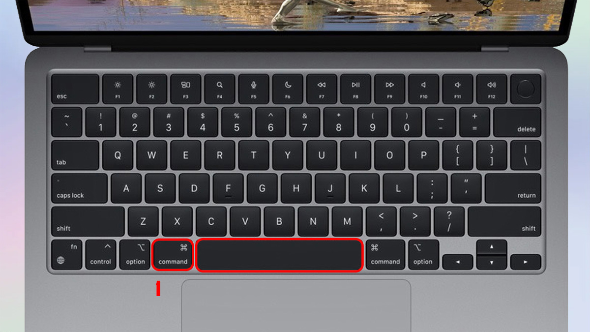 Cách mở Terminal trên macOS