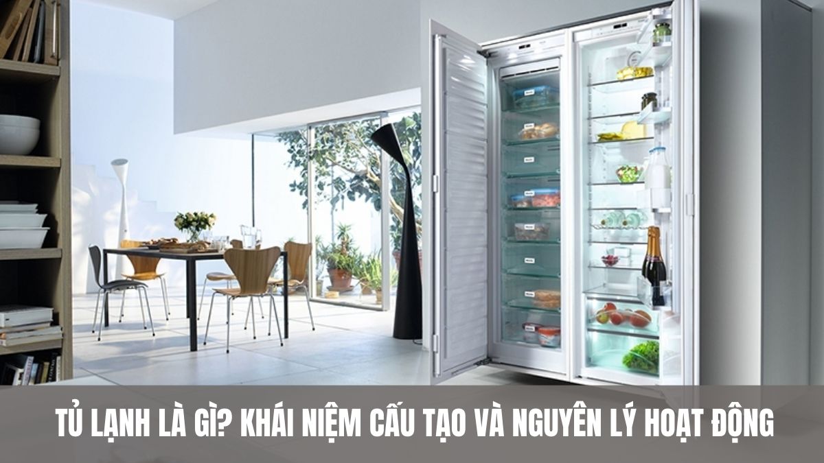 Tủ lạnh là gì? Khái niệm, cấu tạo và nguyên lý hoạt động