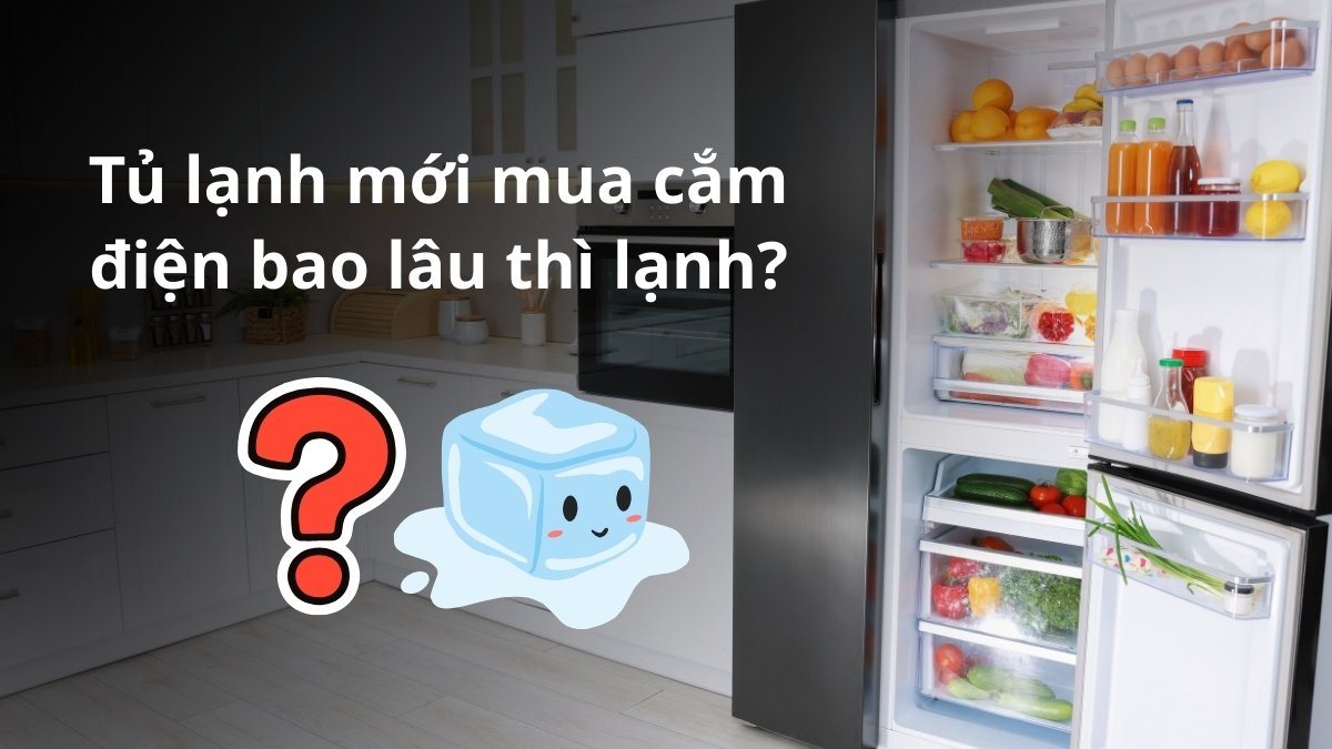 Tủ lạnh mới mua cắm điện bao lâu thì lạnh?