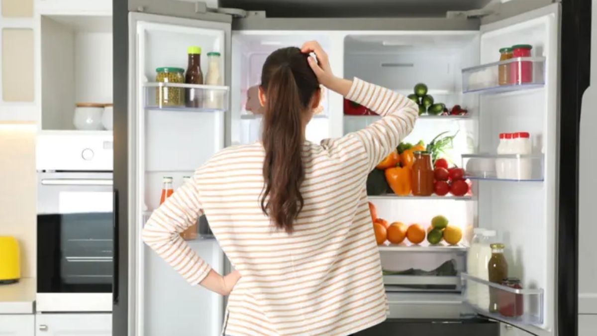 Tủ lạnh là gì: một thiết bị điện gia dụng 