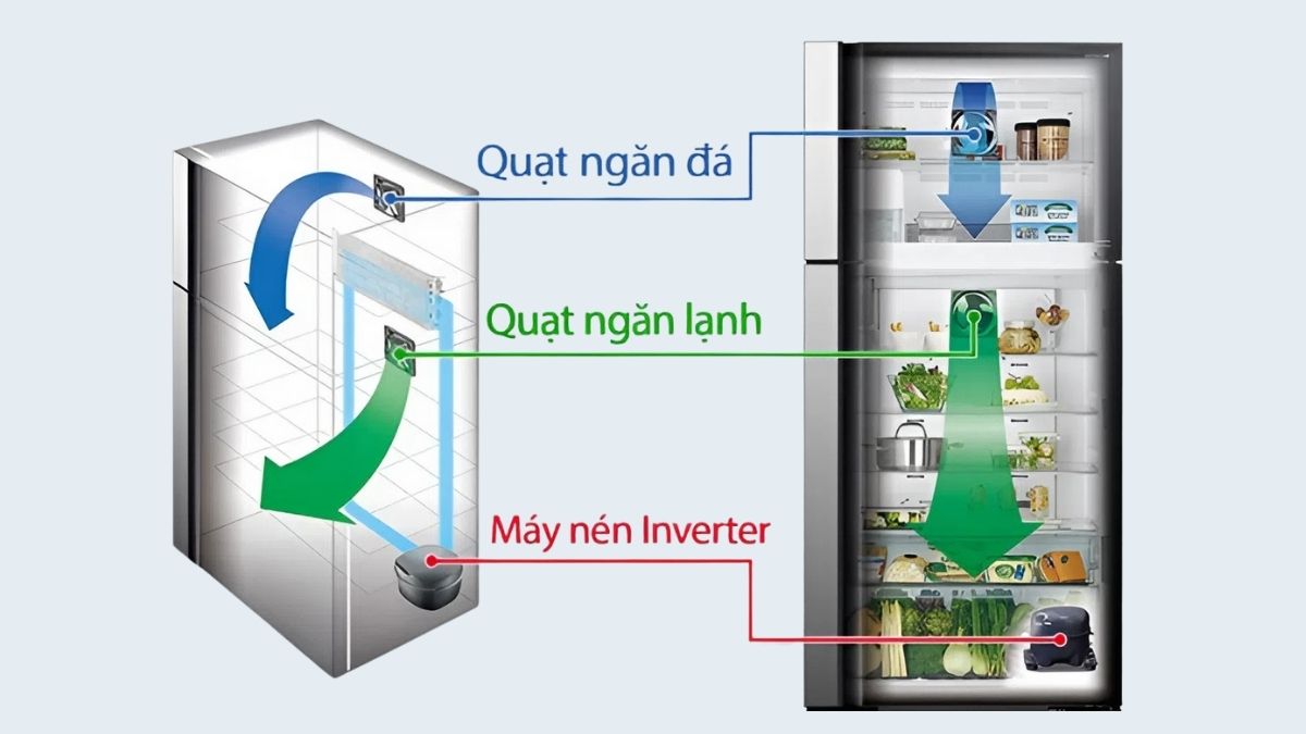 Nguyên lý hoạt động của tủ lạnh là gì?