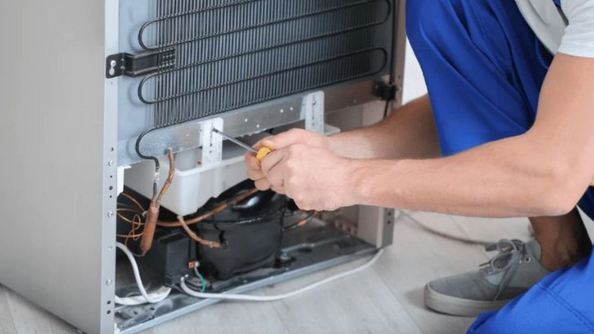 Cấu tạo của tủ lạnh là gì?