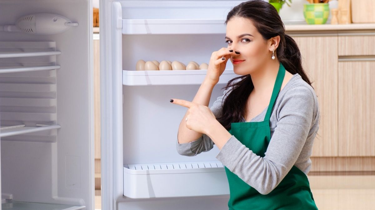 Vì sao cần vệ sinh tủ lạnh định kỳ?