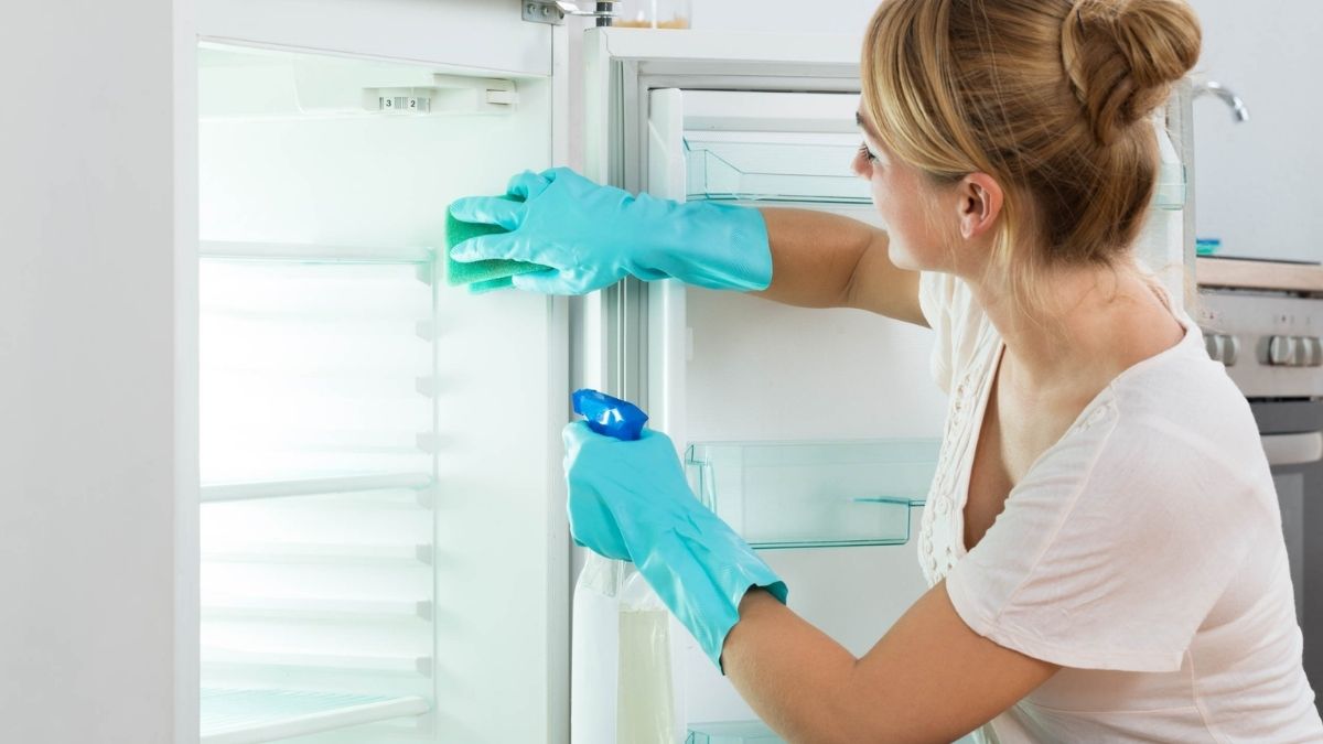 Bao lâu nên vệ sinh tủ lạnh một lần