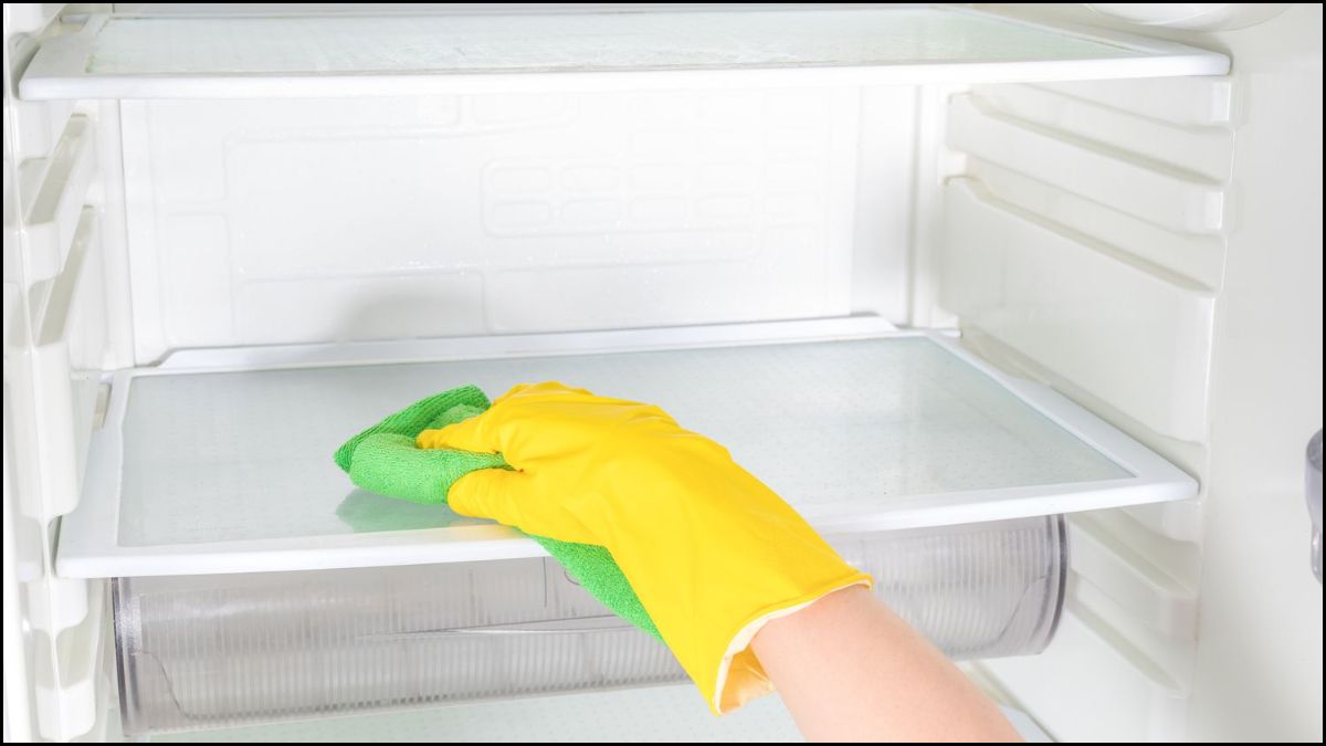 Các bước vệ sinh tủ lạnh đúng cách bước 4