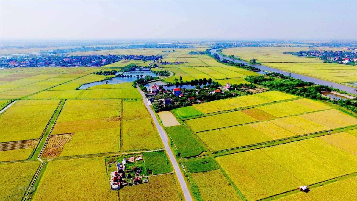 1 yard bằng bao nhiêu m? Xem ngay quy đổi chuẩn