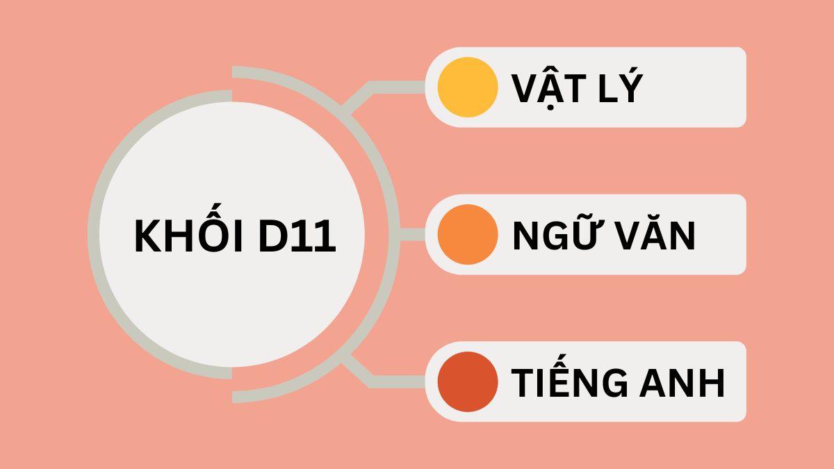 Khối D11 gồm những môn nào?
