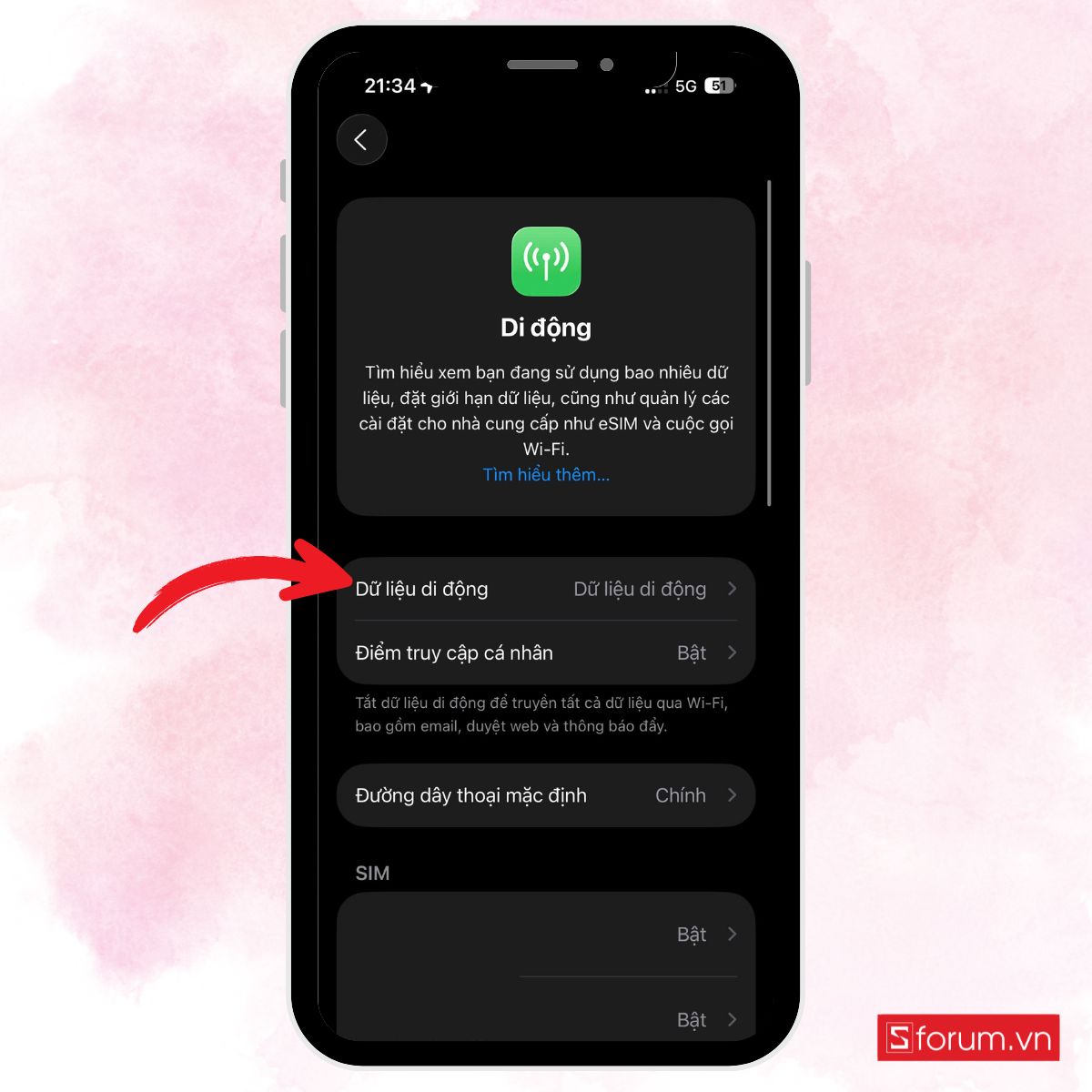 Bật dữ liệu di động