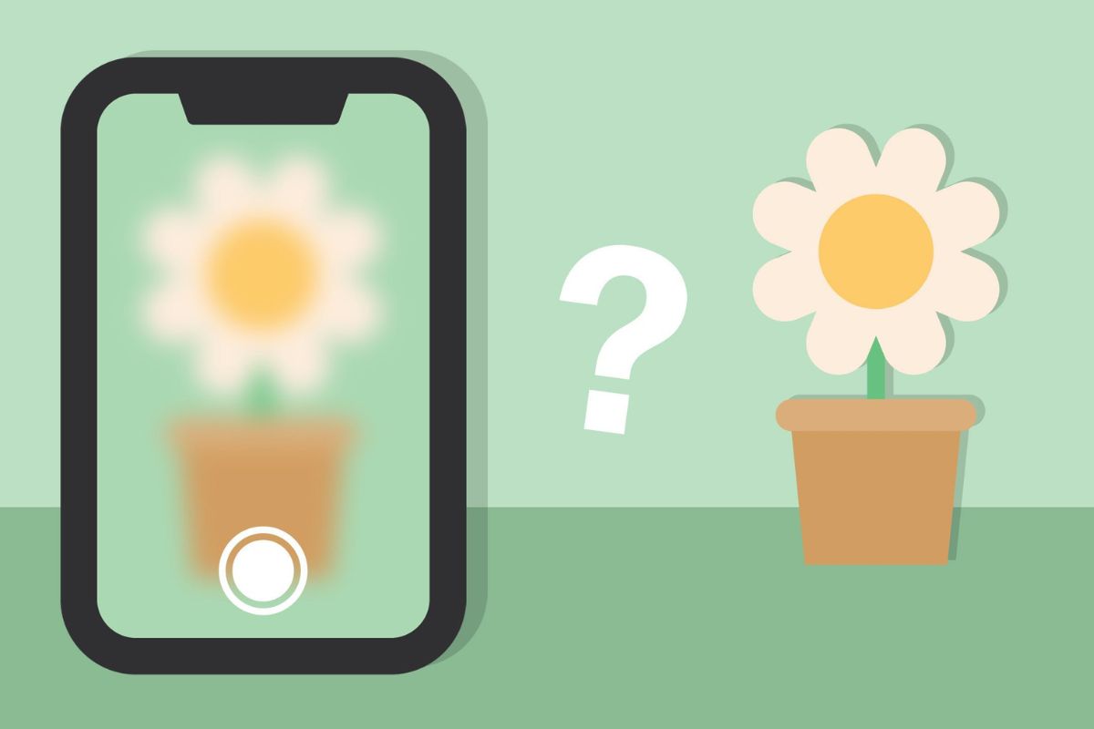 Ống kính bị dính bụi là một trong những nguyên nhân và cách khắc phục camera sau iPhone bị mờ