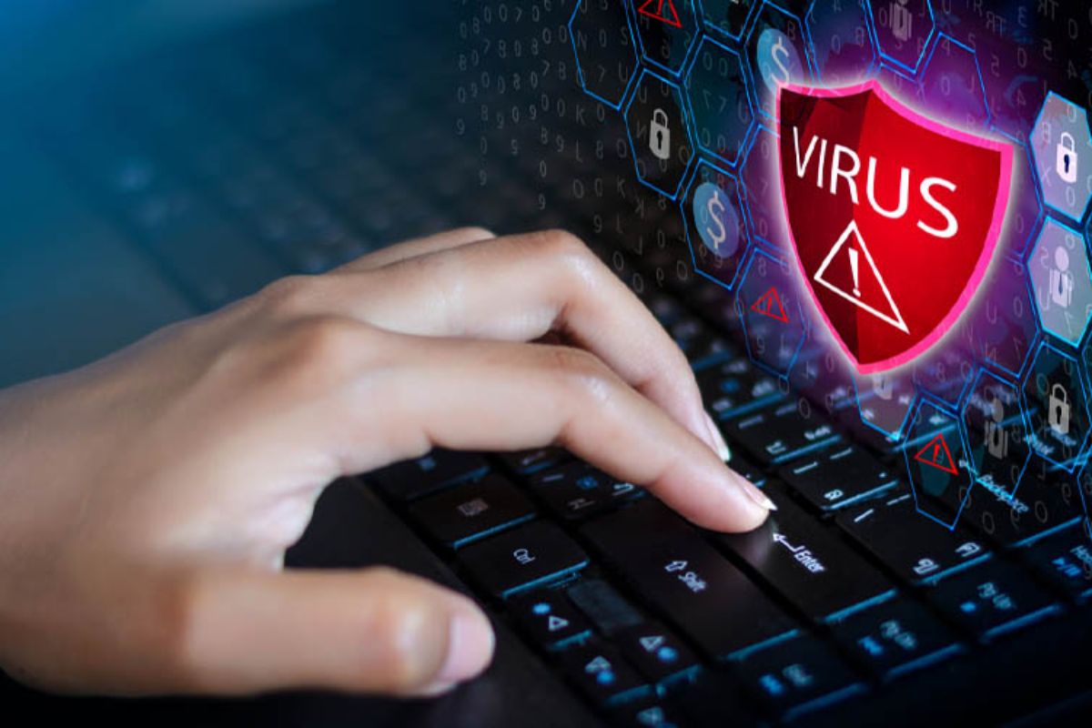 Cập nhật hệ điều hành và phần mềm diệt virus để phòng tránh lỗi đen màn hình