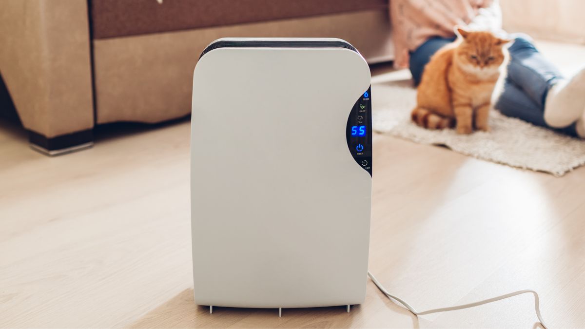 Có nên mua máy hút ẩm cho phòng 40m² không? Có nên mua máy hút ẩm cho phòng 40m² không?
