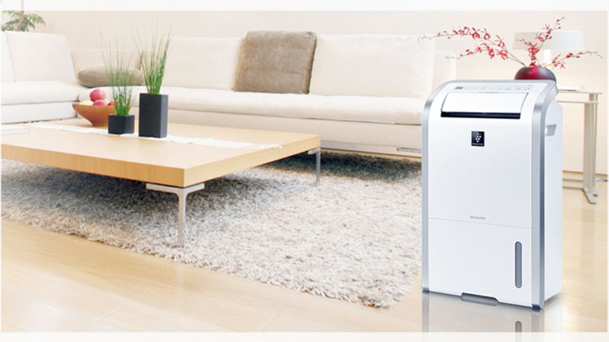 Những dòng máy hút ẩm phù hợp cho phòng 50m²