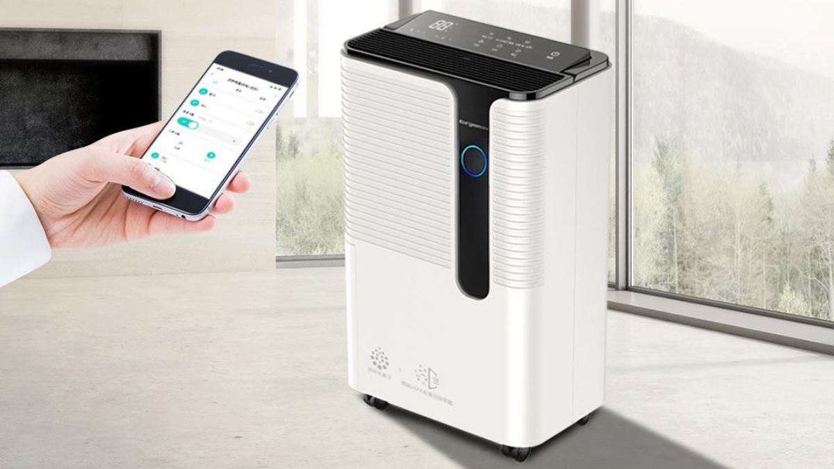 Máy hút ẩm cho phòng 50m² có thực sự cần thiết?