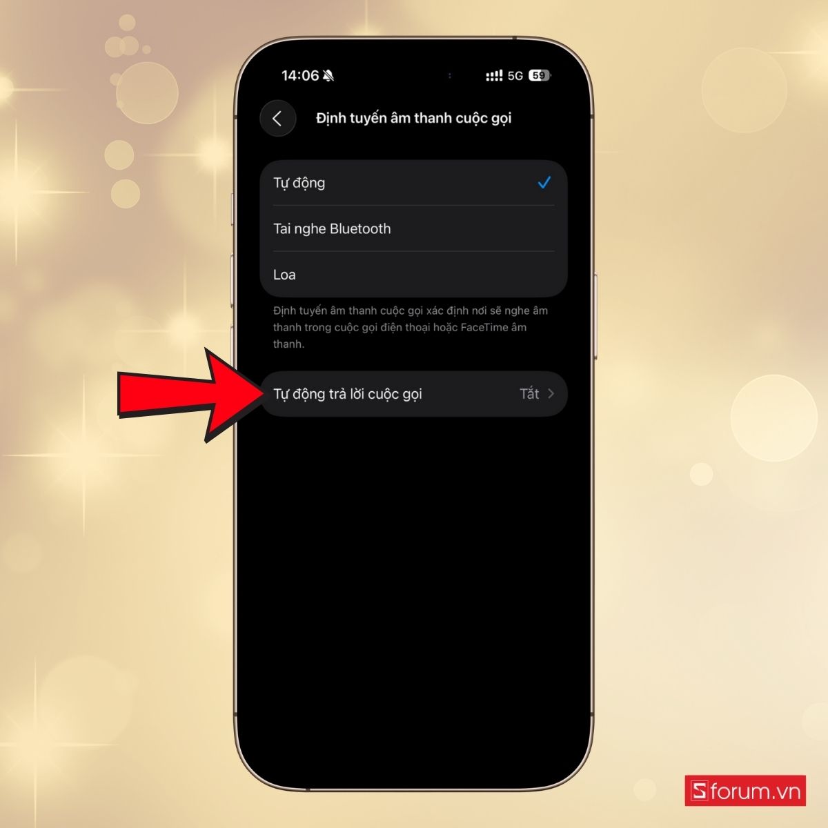 Cách tắt tự động trả lời cuộc gọi trên iPhone - bước 4