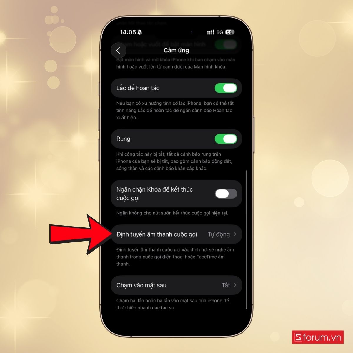 Cách bật tự động trả lời cuộc gọi trên iPhone - bước 4