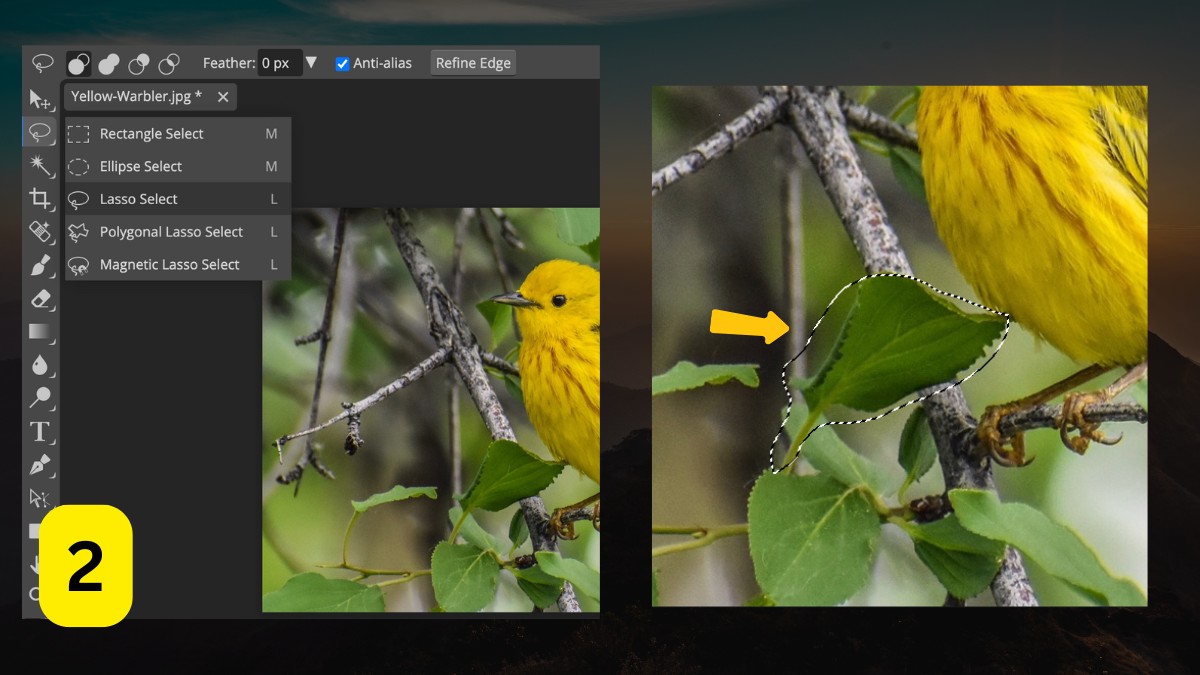 Làm mờ ảnh trong Photoshop cách 5 bước 2