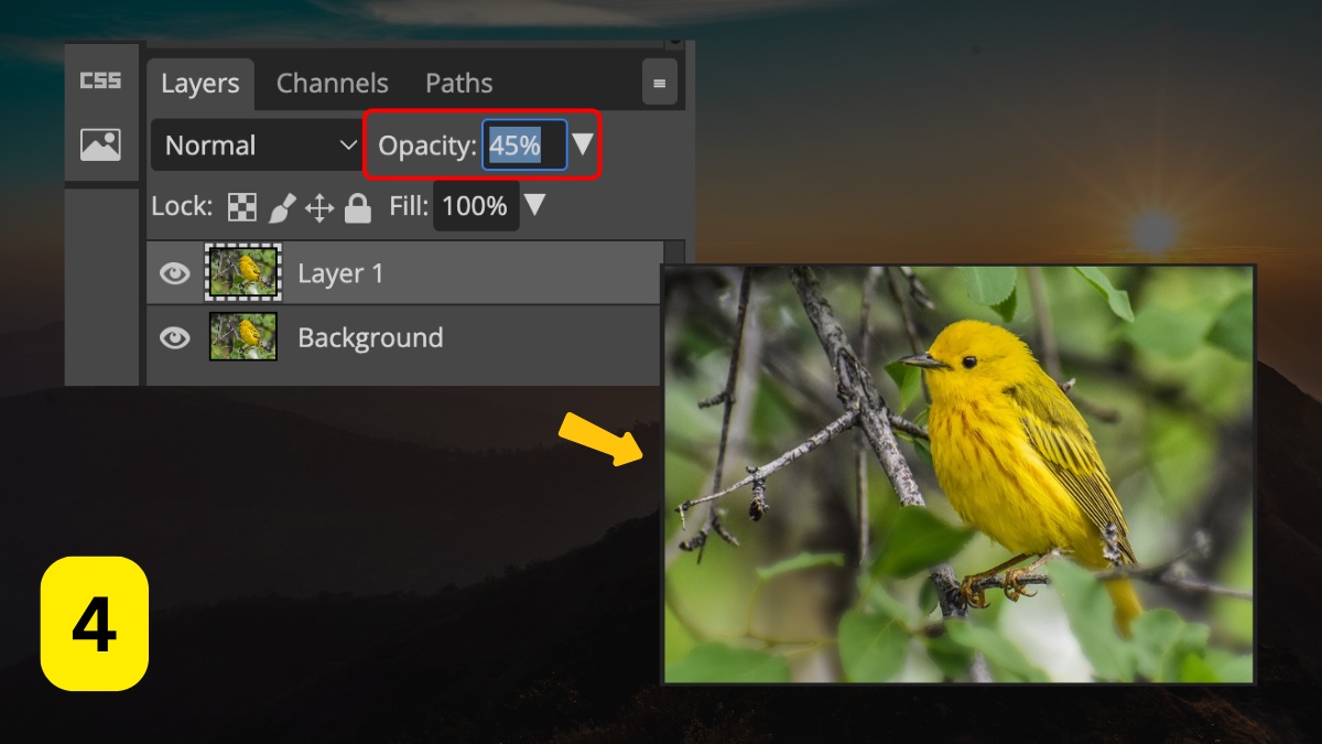 Làm mờ ảnh trong Photoshop cách 5 bước 4