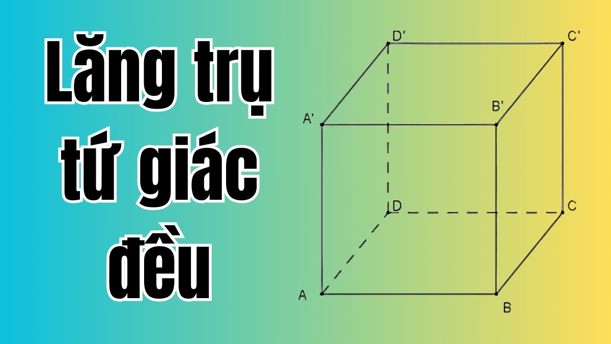 Khối lăng trụ tứ giác đều