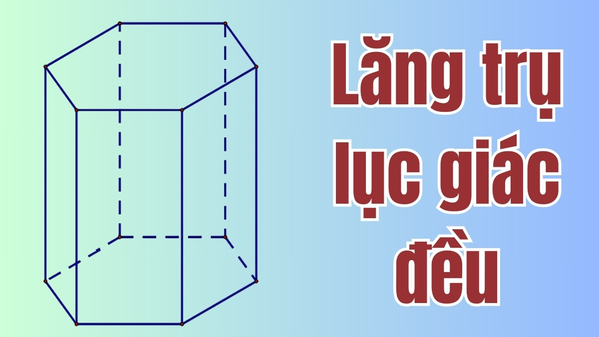 Hình lăng trụ lục giác đều