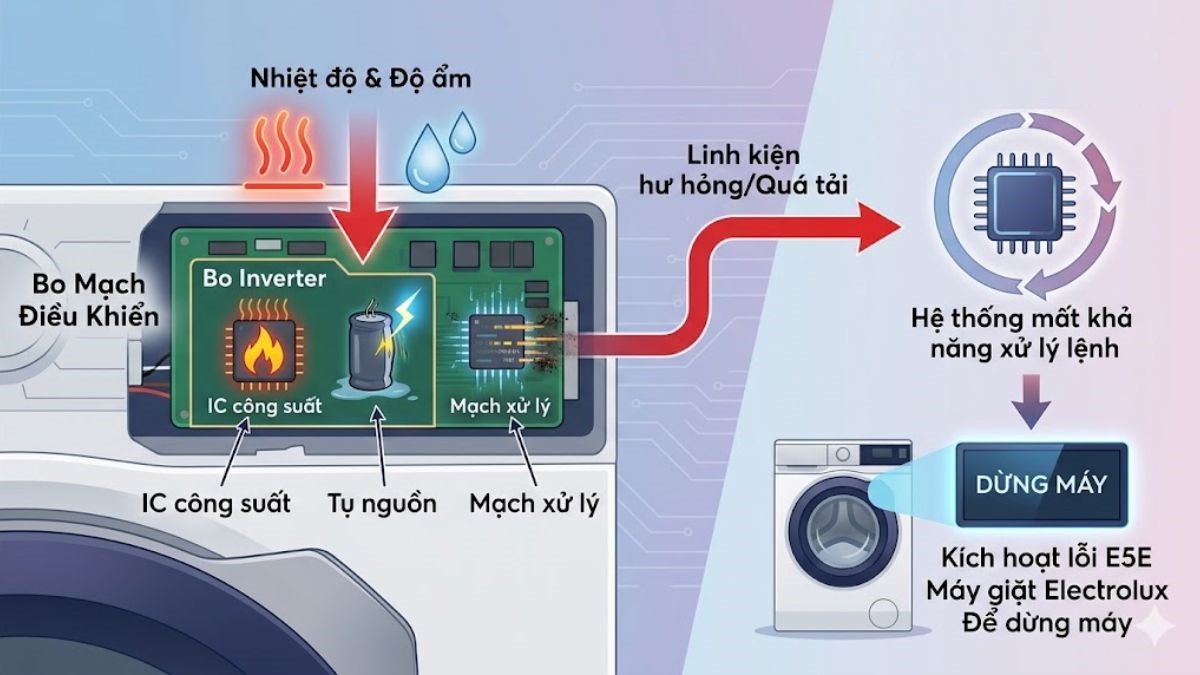 Nguyên nhân gây lỗi E5E máy giặt Electrolux - bo mạch điều khiển bị lỗi