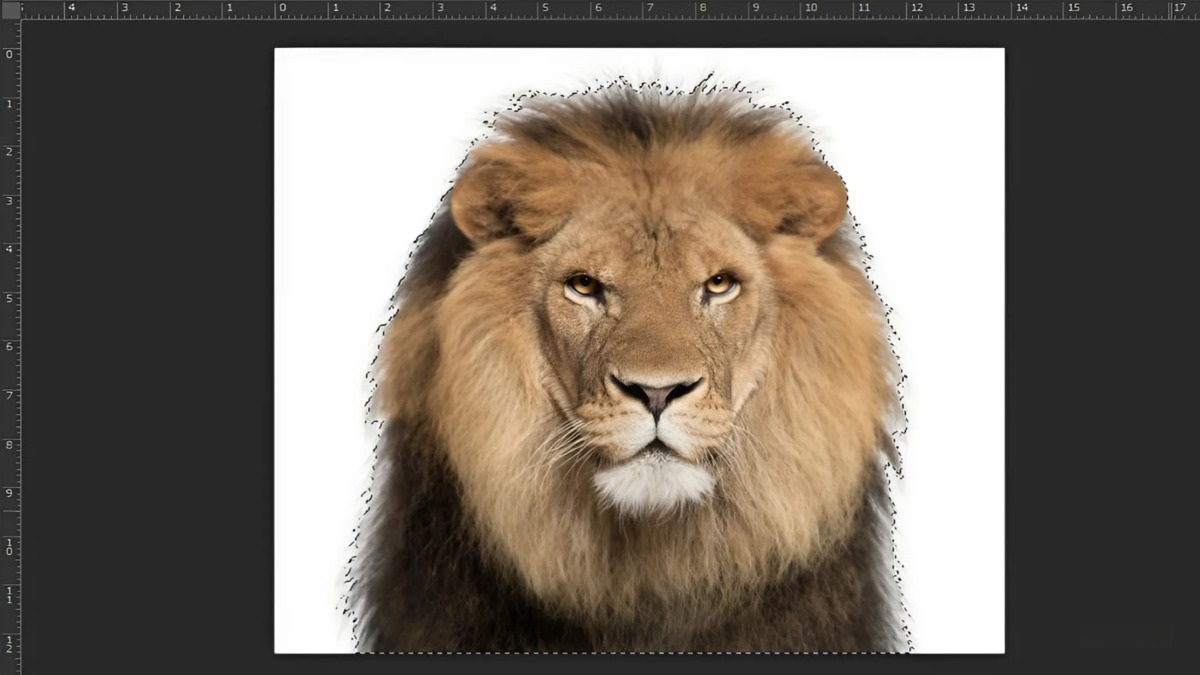 Tách nền với Magic Wand Tool trong Photoshop bước 1