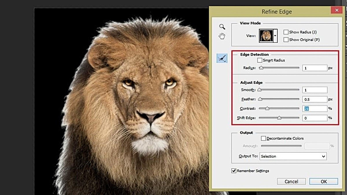 Tách nền với Magic Wand Tool trong Photoshop bước 3