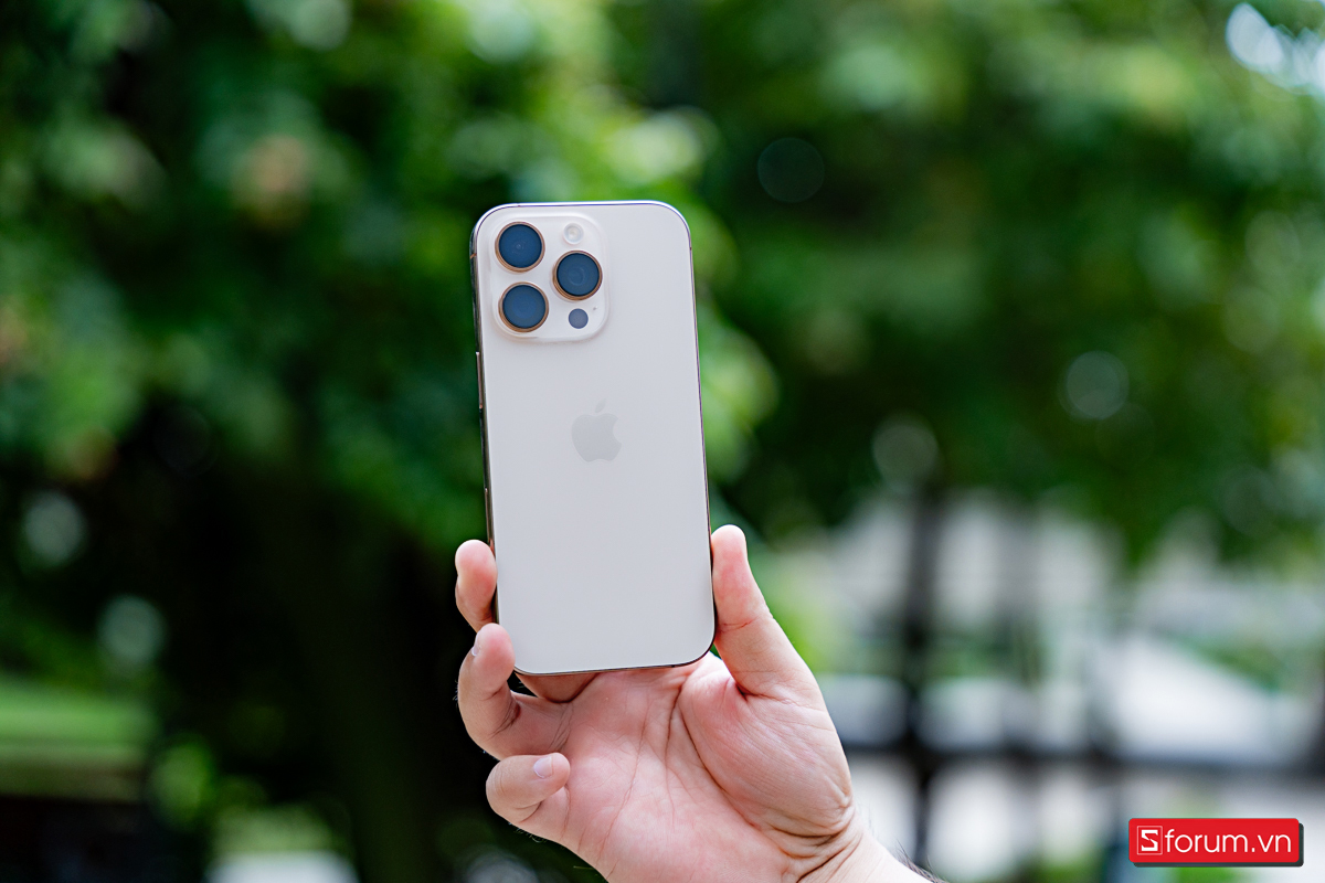iPhone Pro Max