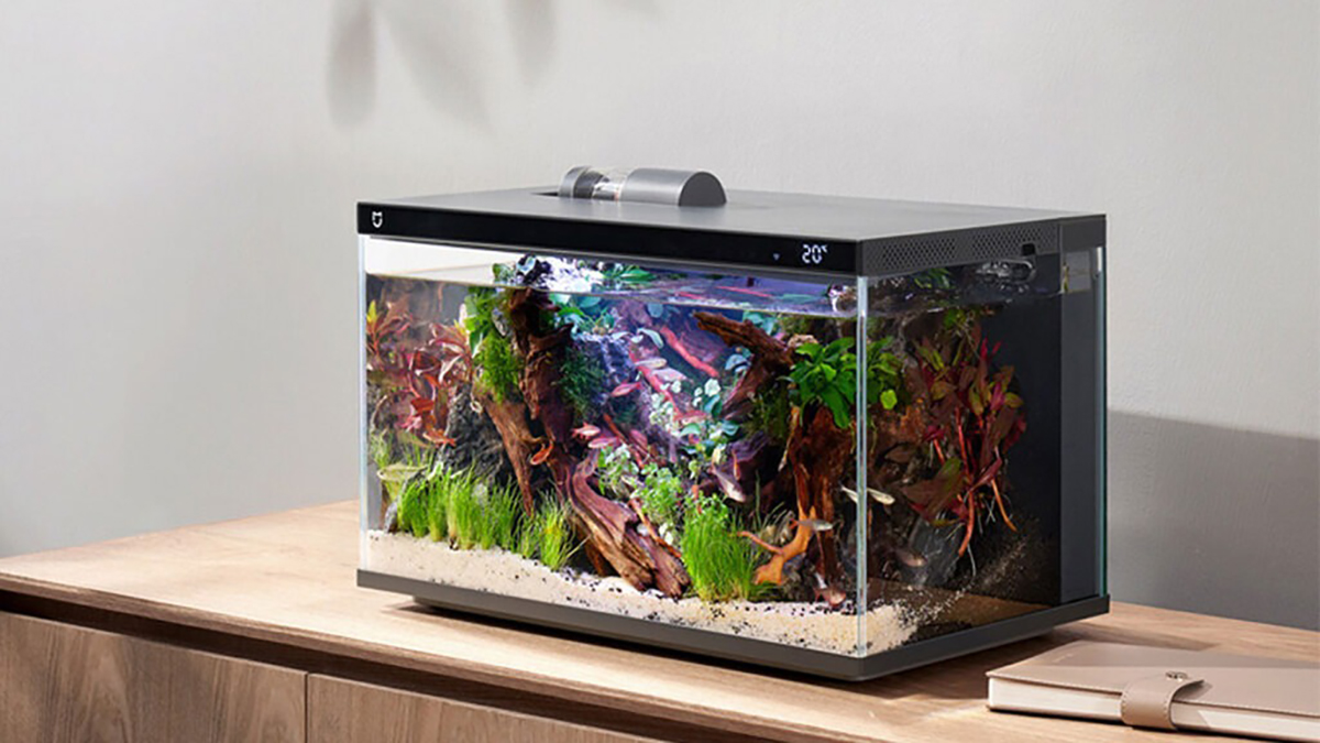 Những sản phẩm kỳ lạ nhất của Xiaomi mà bạn không tin là chúng tồn tại Những sản phẩm kỳ lạ nhất của Xiaomi mà bạn không tin là chúng tồn tại